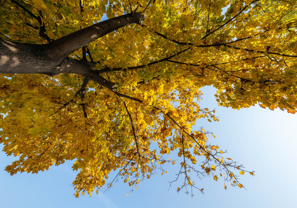 Autumn in Tichá Šárka is inspiring